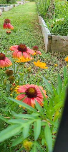 John & Rebecca Neal Park - Thumbnail