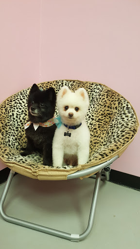 Topknots Pet Grooming LLC - Thumbnail