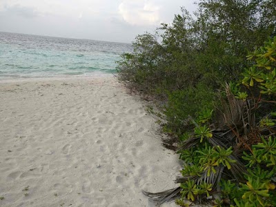 Photos of Fodhdhoo