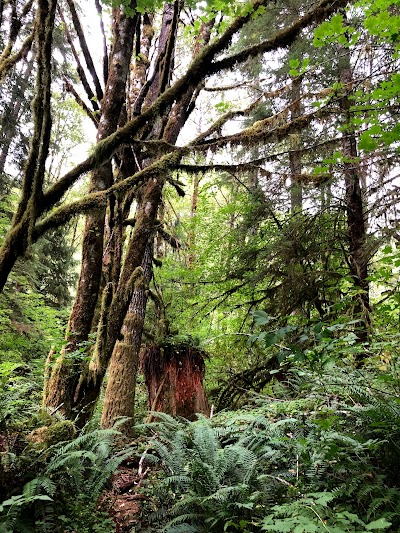 Bloom Lake Trail