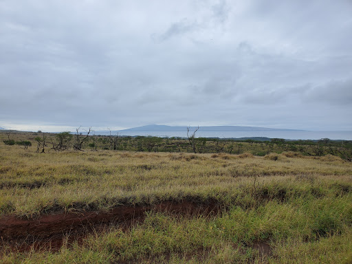 Maunahui-Makakupa'ia Trail Head - Thumbnail