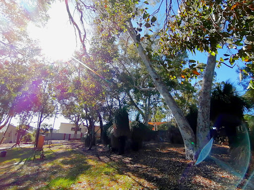 Emma George Park - Thumbnail