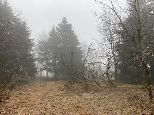 Heidelstein - Visual