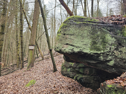 Hohler Stein