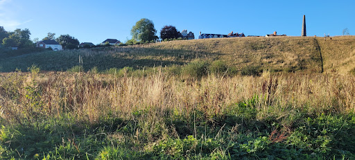 Morfa Wetlands - Thumbnail