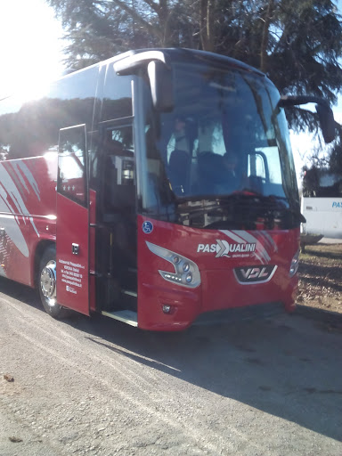 Buses Pasqualini (S.R.L.) - Visual