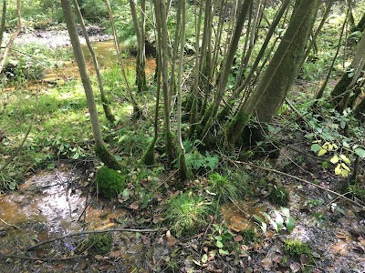 Photos of Bezoekerscentrum De Watersnip