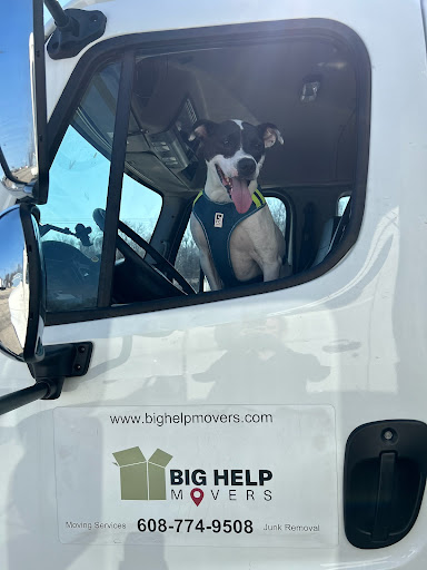 Big Help Movers - Visual