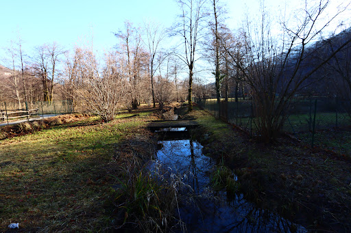Passerella sul lago - Thumbnail