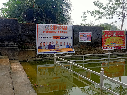 Gallery image 13