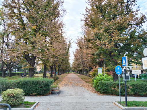 Parco Carrobio - Visual