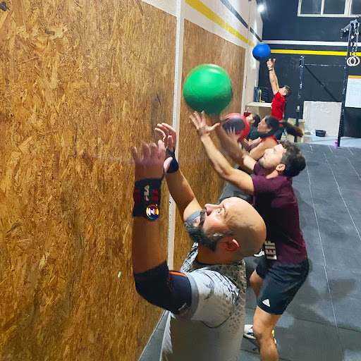 StrongfittestBox - Visual