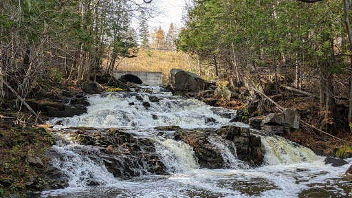 Trout Brook Falls