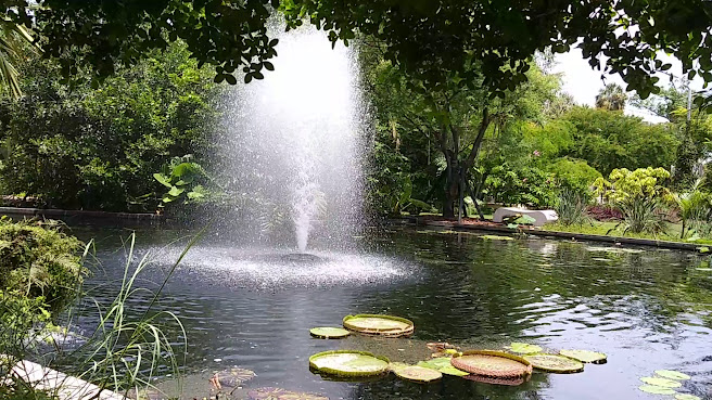 Miami Beach Botanical Garden by null