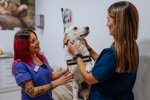 Hospital Veterinario Valvet