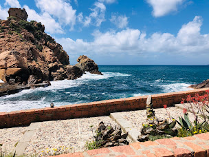 Photo n°11 de Nave Va Promenades en mer Porto à Porto (Agence d'excursions en bateau)