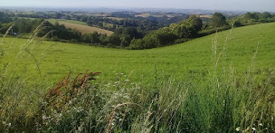 Photo n°1 de Au Délice Paysan - Vente directe de colis de viande Bio de boeuf et de porc et charcuterie Bio à La Salvetat-Peyralès (Ferme d'élevage)