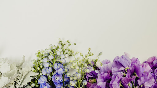 Donvale Flower Gallery - Thumbnail