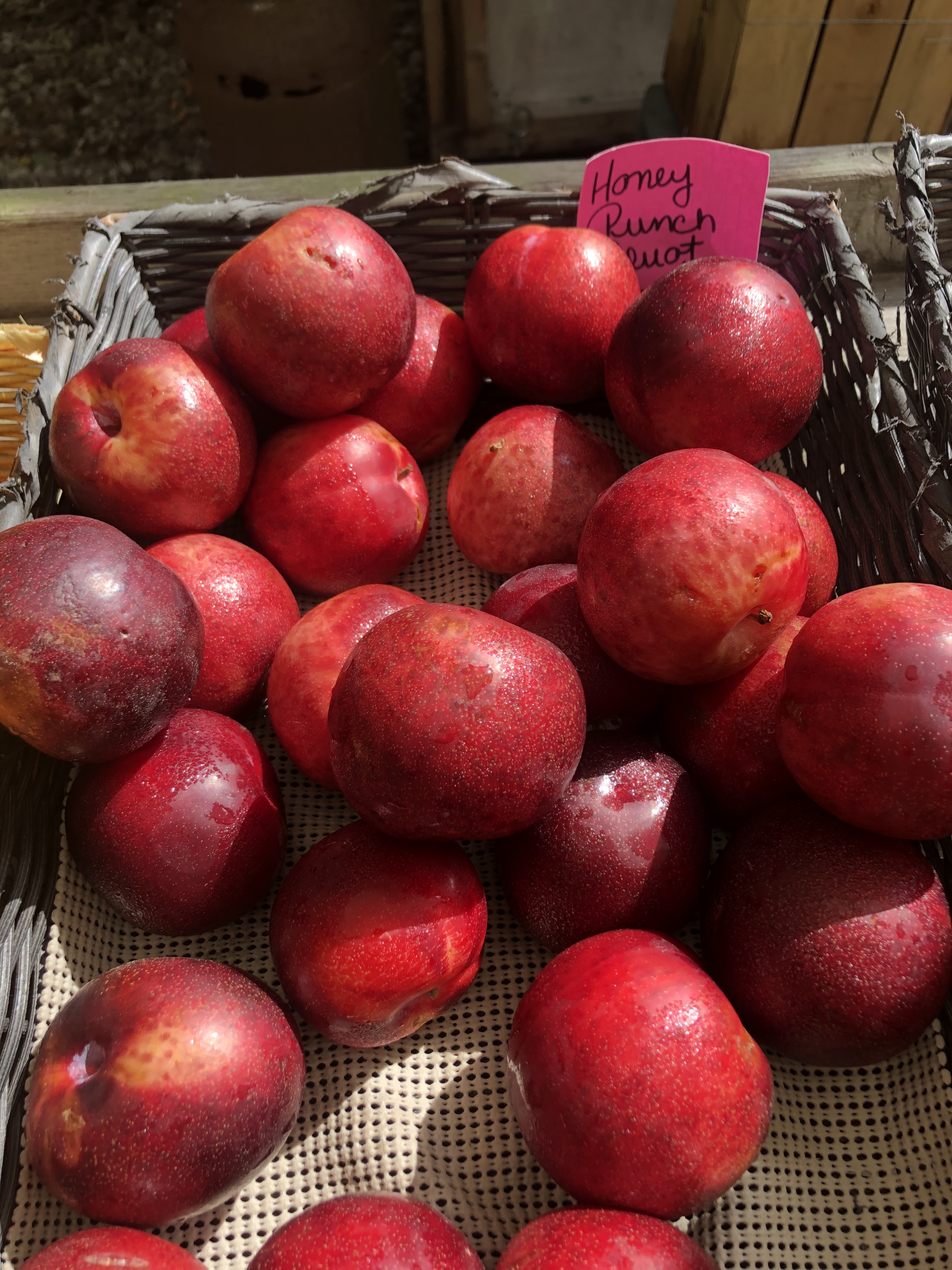 Spring Close Farm stand
