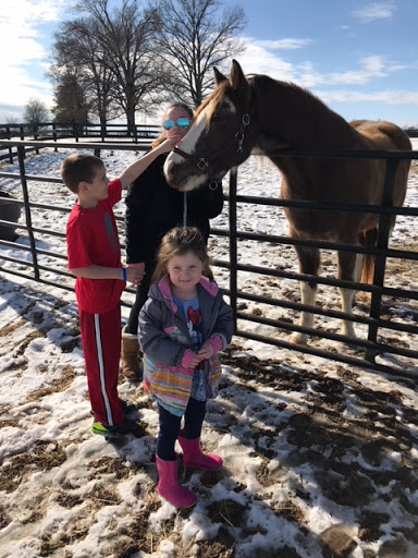 Temple Equestrian Center at Mason Lane Farm - Thumbnail