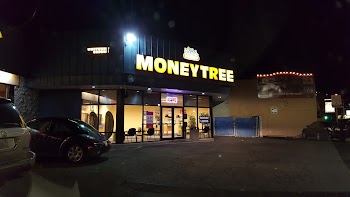 Moneytree photo