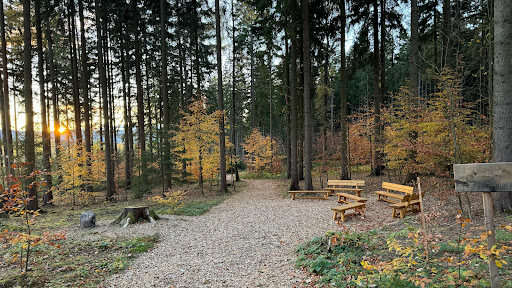 RuheForst® Olbernhau/Erzgebirge - Thumbnail