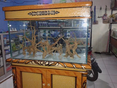 photo of Cahaya Aquarium