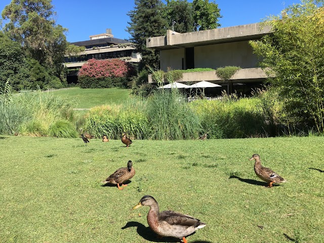 Jardim da Fundação Calouste Gulbenkian