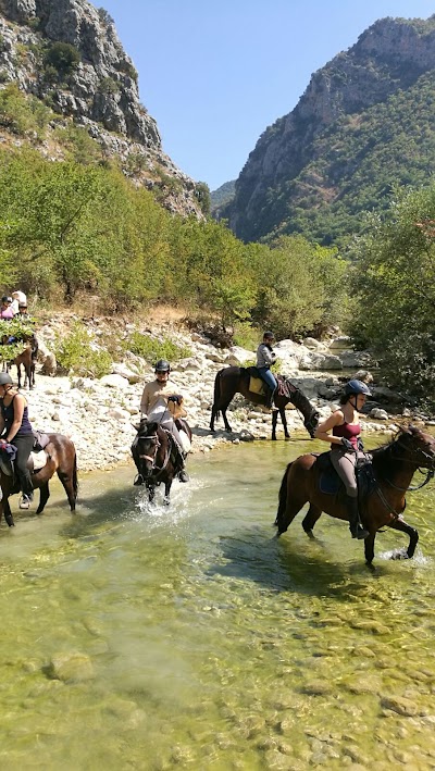 Caravan Horse Riding Albania