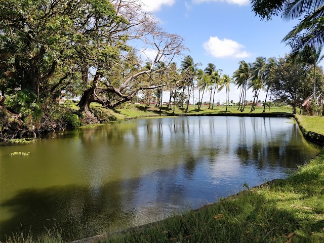 Distillerie Longueteau