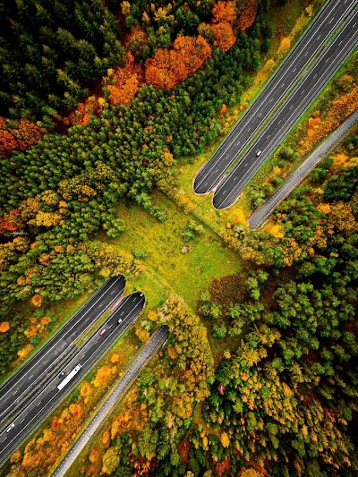 Wildviaduct Woeste Hoeve, A50