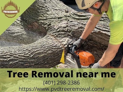 Affordable tree removal service near me Warwick RI