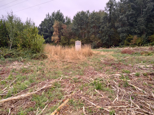 R101 memorial crash site - Thumbnail
