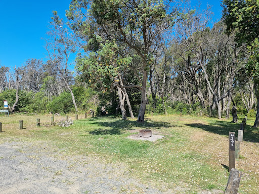 Crowdy Gap campground - Thumbnail
