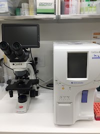 たむら動物病院