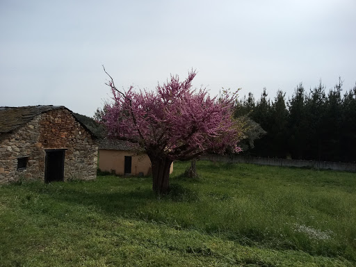 Palacio de Arganza - Visual