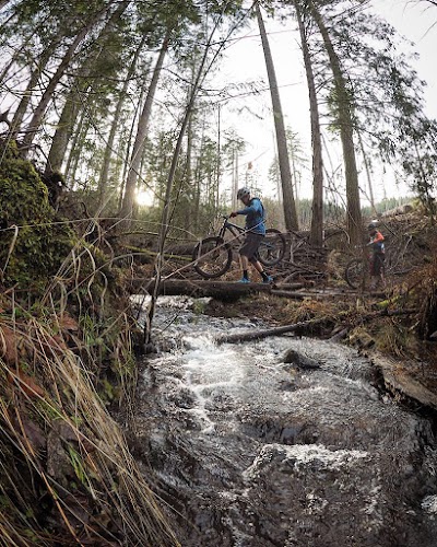 Hood River Mountain Bike Adventures