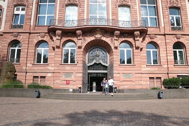 Muséum Senckenberg