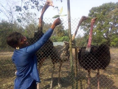 Photos of Owerri Zoo