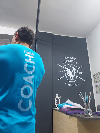 GallusAthletics Barbellclub Gallery - Italy