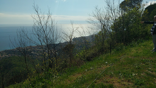 I Giardi - Visual