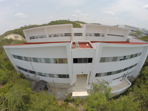 El Colegio de la Frontera Sur - Thumbnail