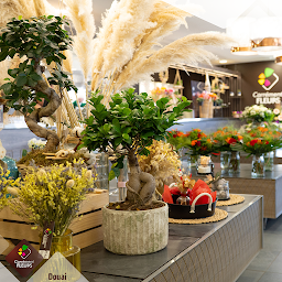 Photo n°6 de Carrément Fleurs - Fleuriste Douai 59 - Livraison de fleurs à domicile à Douai (Fleuriste)