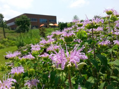 Photos of Maryland University of Integrative Health