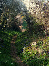 Photo n°14 de kerguelen gite à Plougasnou (Gîte)
