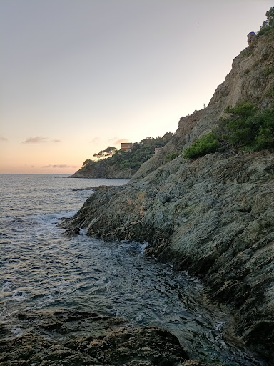 Port du Niel - Thumbnail