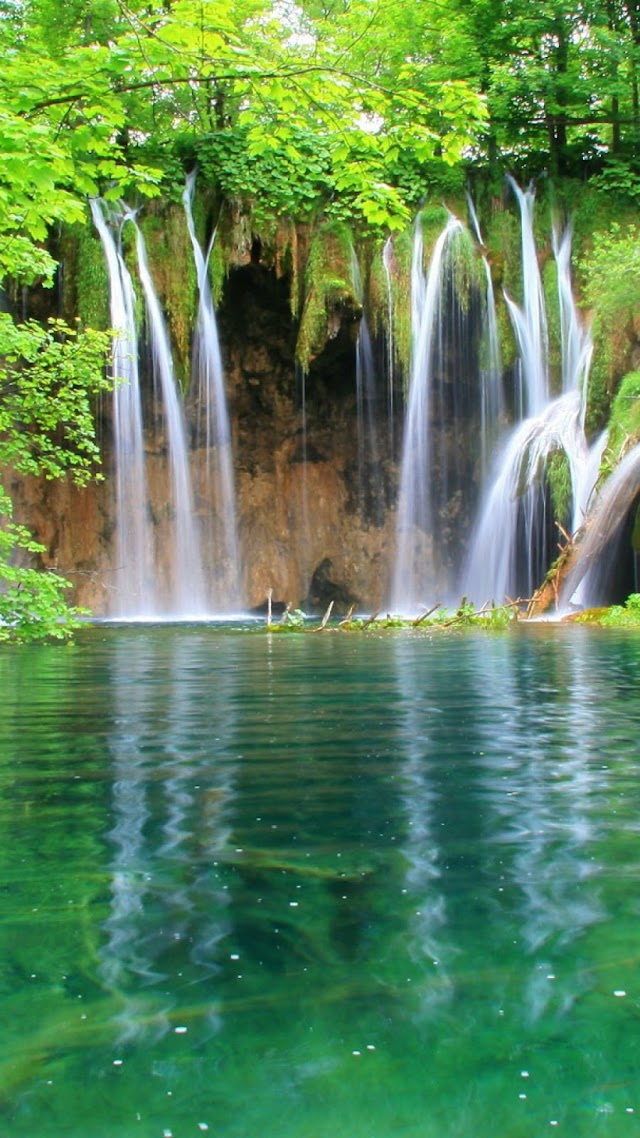 Meghalaya