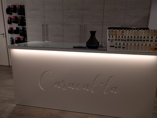 Caracal·la - Visual