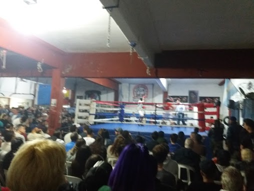 Escuela de Boxeo XAVI BOX, Author: Karen Martínez