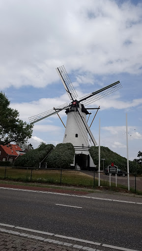 Halsteren, Nieuwe Molenweg - Thumbnail